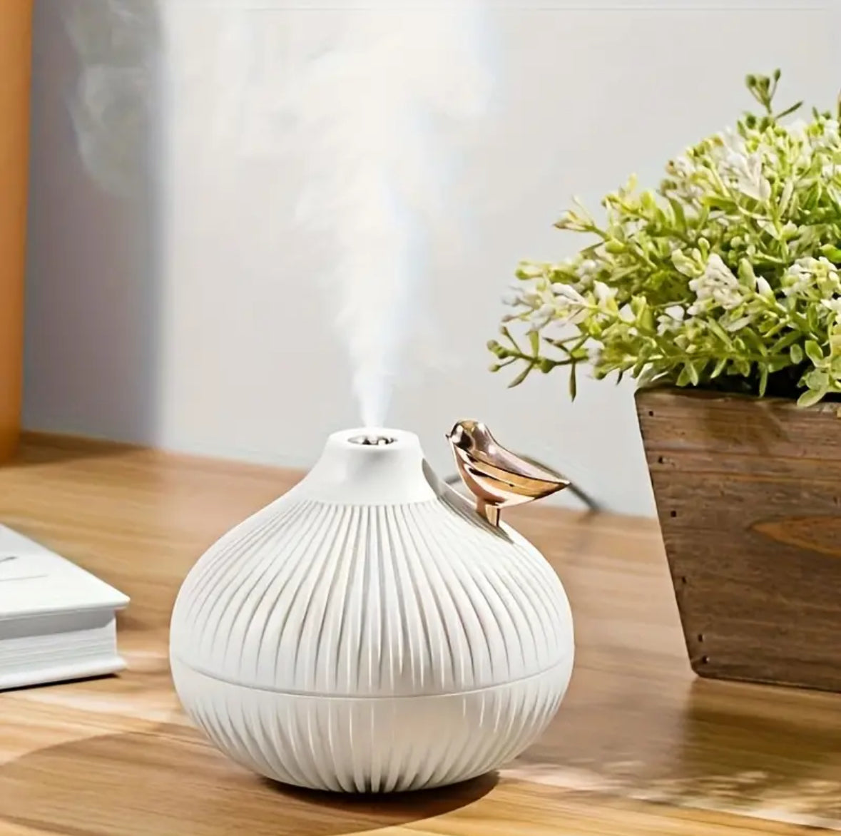 Diffuseur d'Huile Essentielle 300ml