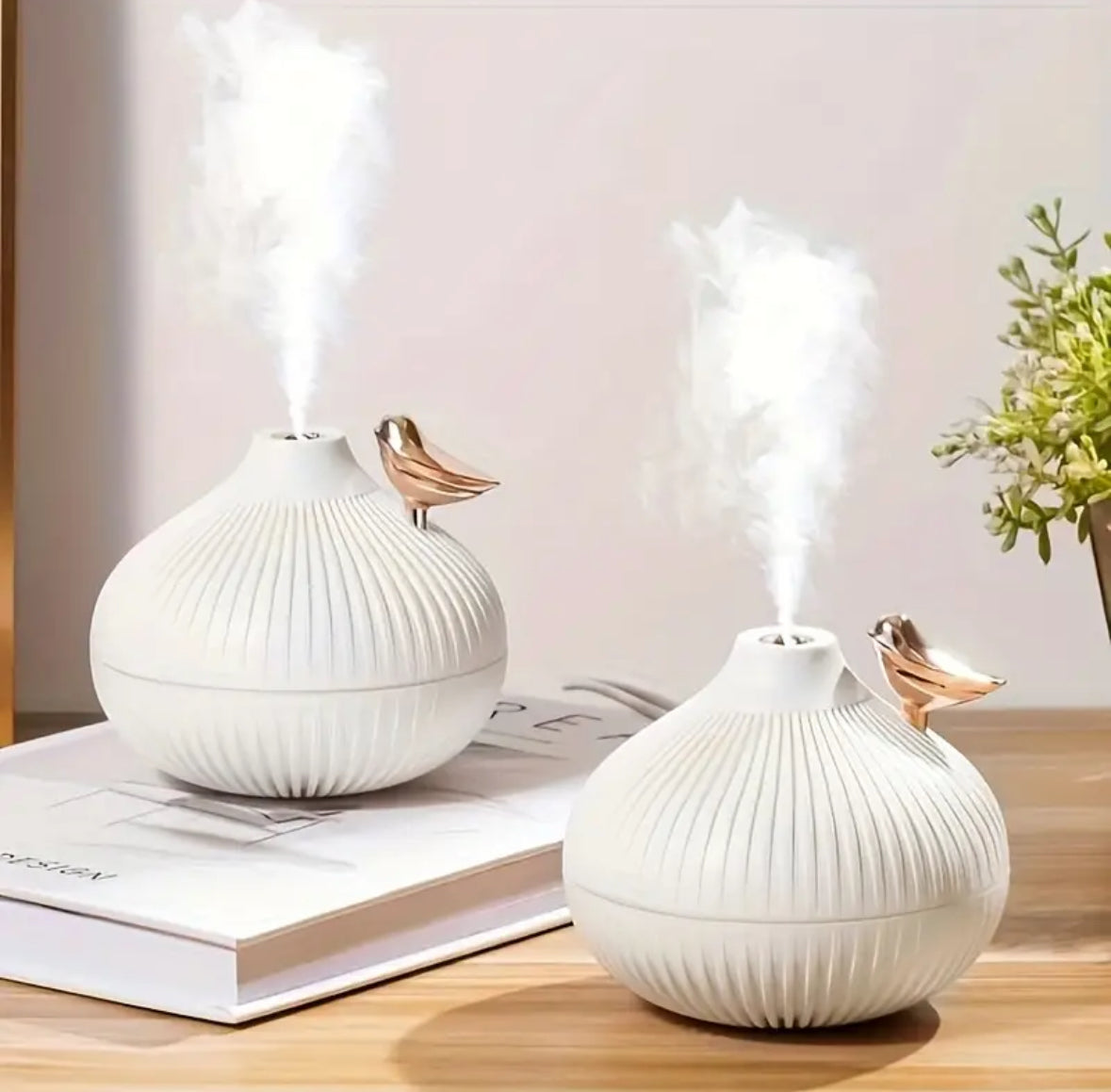 Diffuseur d'Huile Essentielle 300ml
